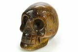 Polished Tiger's Eye Skull - South Africa #320165-1